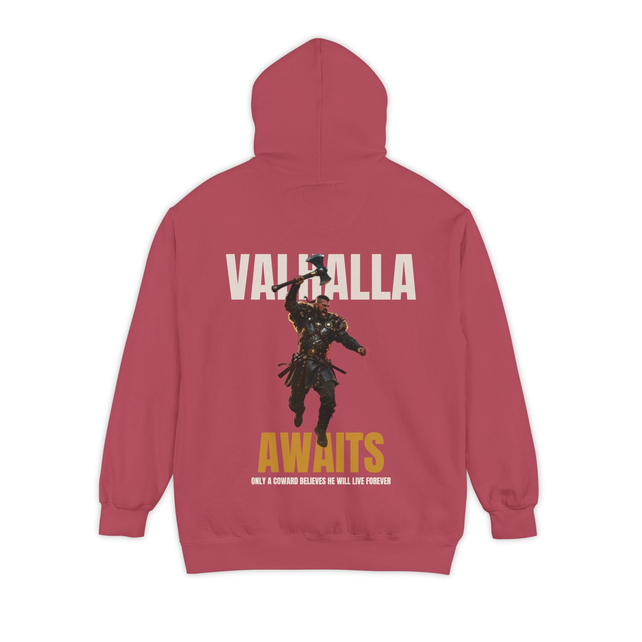 ForgedLoot - Valhalla Awaits Hoodie - Crimson - back | color:Crimson