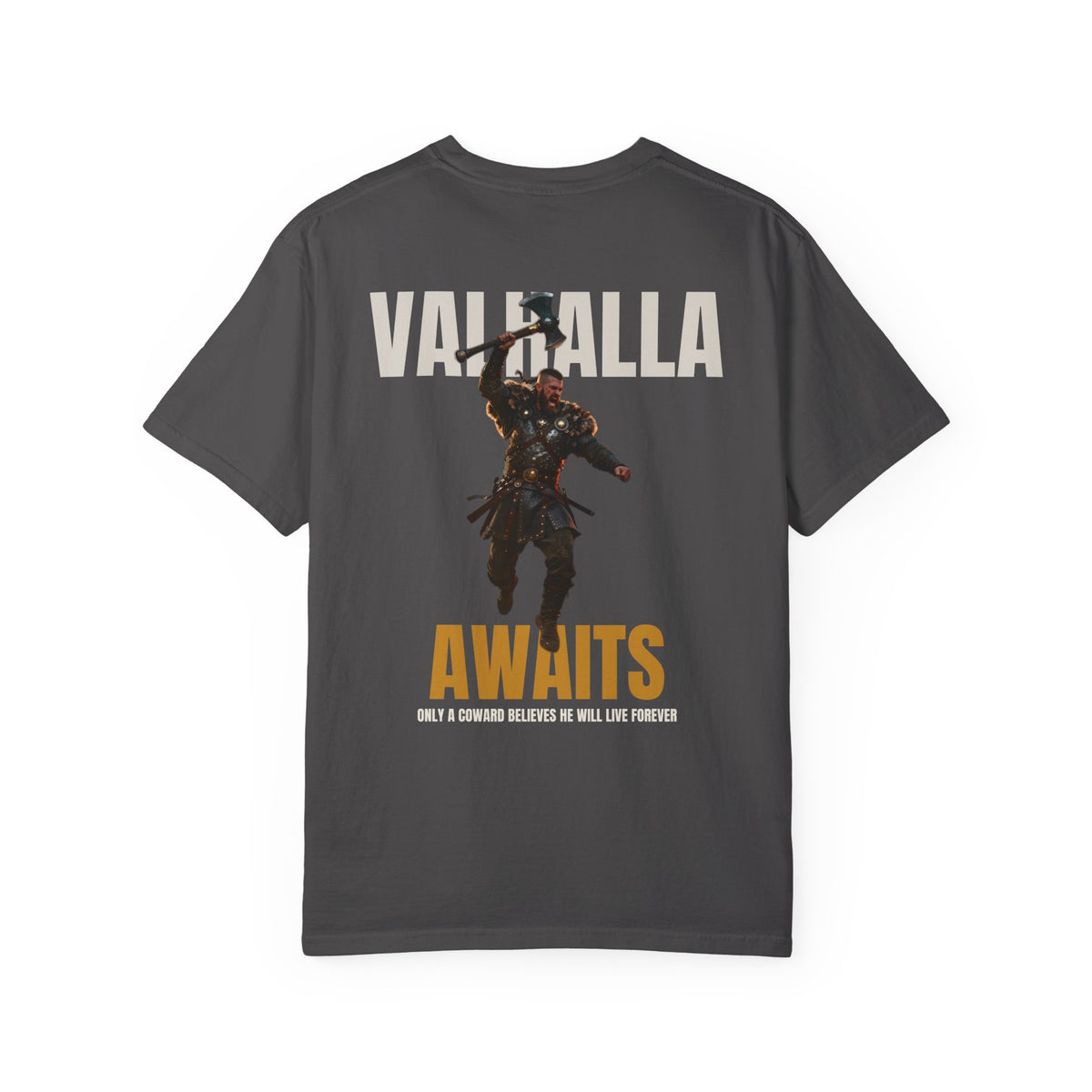 ForgedLoot - Valhalla Awaits Tee - Graphite - back | color:Graphite