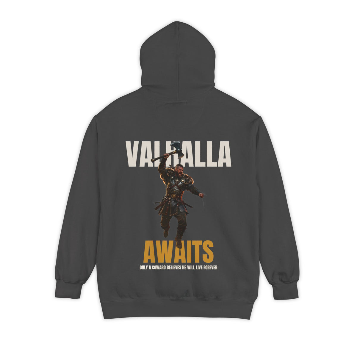 ForgedLoot - Valhalla Awaits Hoodie - Pepper - back | color:Pepper
