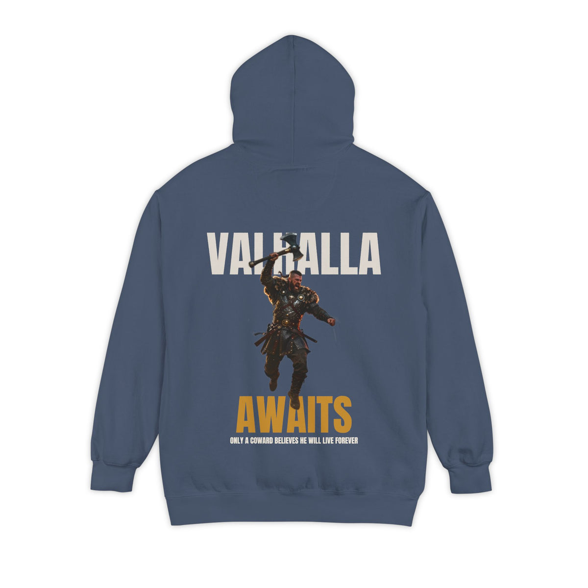 ForgedLoot - Valhalla Awaits Hoodie - Denim - back | color:Denim