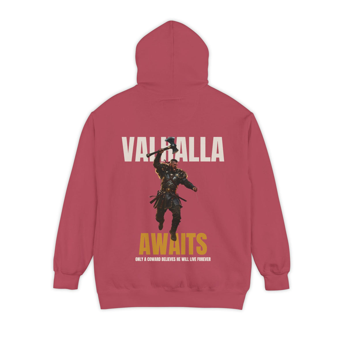 ForgedLoot - Valhalla Awaits Hoodie - Crimson - back | color:Crimson